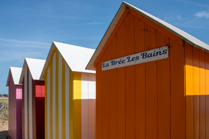 Toiletteur Les Abymes